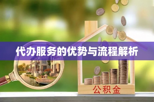 邵阳县代办服务的优势与流程解析
