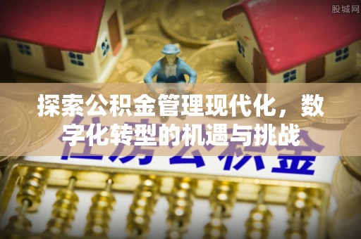 邵阳县探索公积金管理现代化，数字化转型的机遇与挑战