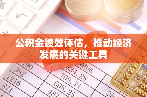 邵阳县公积金绩效评估，推动经济发展的关键工具