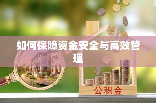 邵阳县如何保障资金安全与高效管理