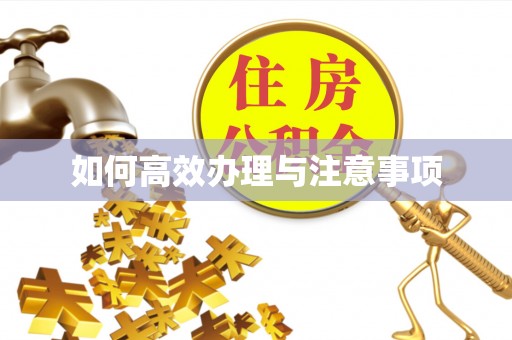 邵阳县如何高效办理与注意事项