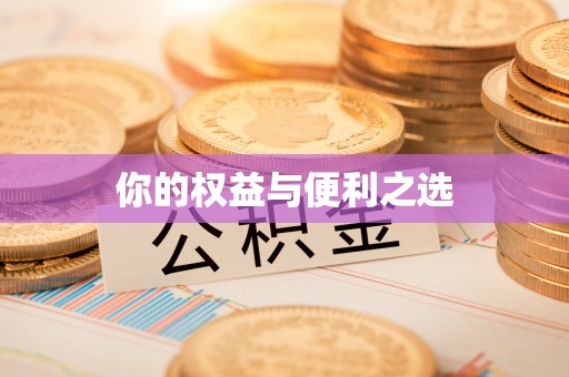 邵阳县你的权益与便利之选