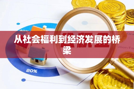 邵阳县从社会福利到经济发展的桥梁