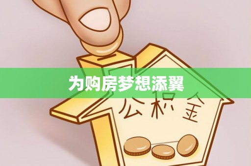 邵阳县为购房梦想添翼