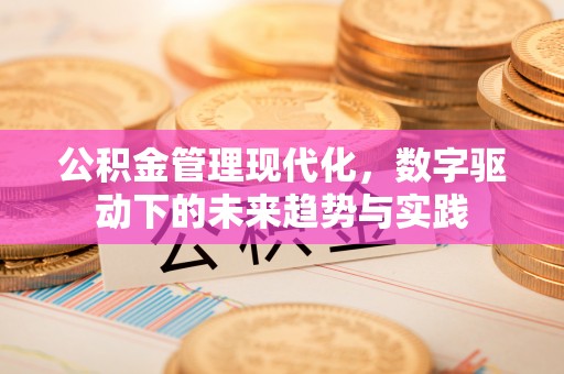 邵阳县公积金管理现代化，数字驱动下的未来趋势与实践