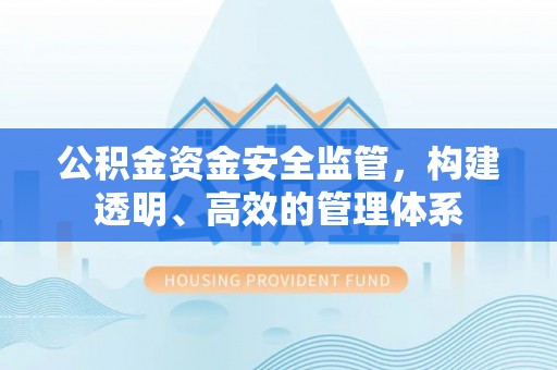 邵阳县公积金资金安全监管，构建透明、高效的管理体系