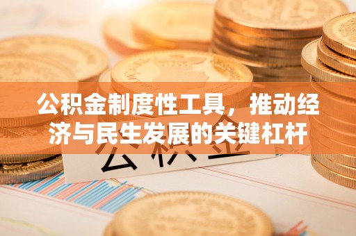 邵阳县公积金制度性工具，推动经济与民生发展的关键杠杆
