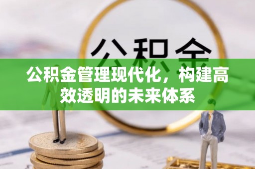 邵阳县公积金管理现代化，构建高效透明的未来体系