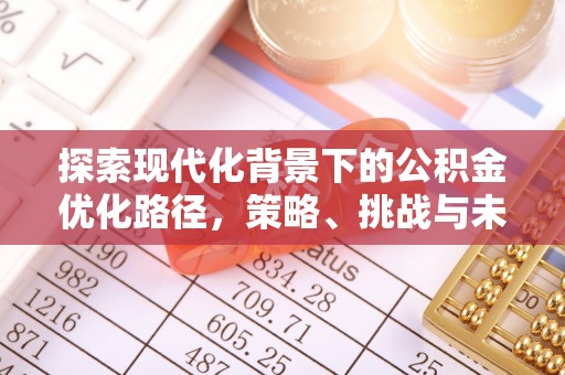 邵阳县探索现代化背景下的公积金优化路径，策略、挑战与未来展望