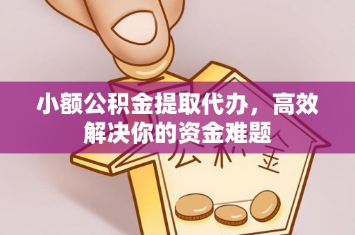 邵阳县小额公积金提取代办，高效解决你的资金难题