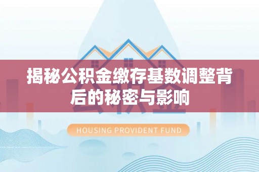 邵阳县揭秘公积金缴存基数调整背后的秘密与影响