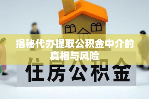 邵阳县揭秘代办提取公积金中介的真相与风险
