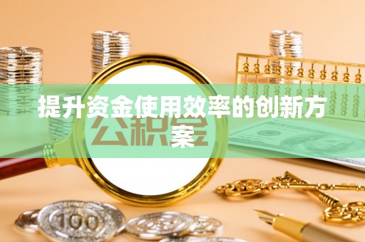 邵阳县提升资金使用效率的创新方案