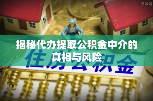 邵阳县揭秘代办提取公积金中介的真相与风险
