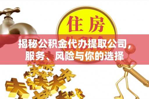 邵阳县揭秘公积金代办提取公司，服务、风险与你的选择