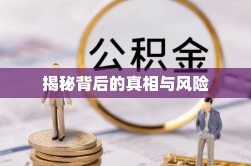 邵阳县揭秘背后的真相与风险