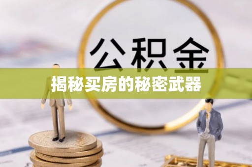 邵阳县揭秘买房的秘密武器