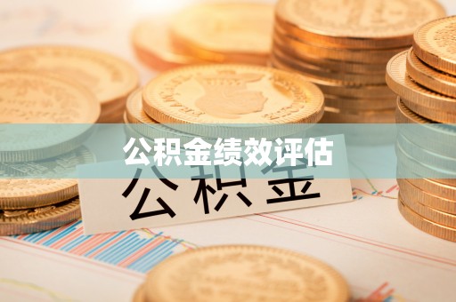 邵阳县公积金绩效评估