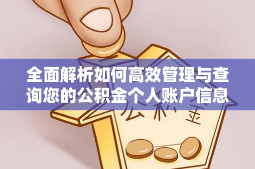 邵阳县全面解析如何高效管理与查询您的公积金个人账户信息