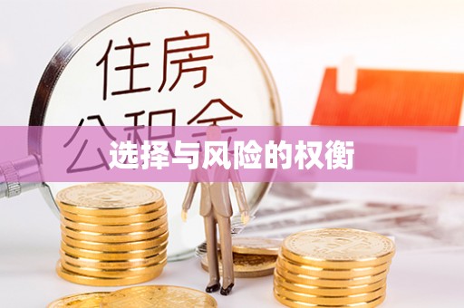 邵阳县选择与风险的权衡