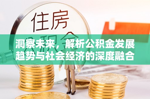 邵阳县洞察未来，解析公积金发展趋势与社会经济的深度融合