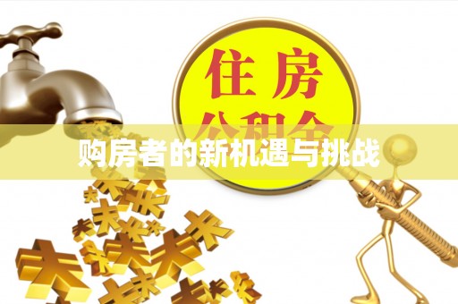 邵阳县购房者的新机遇与挑战