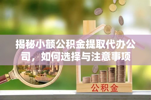 邵阳县揭秘小额公积金提取代办公司，如何选择与注意事项
