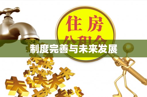 邵阳县制度完善与未来发展