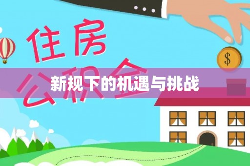 邵阳县新规下的机遇与挑战