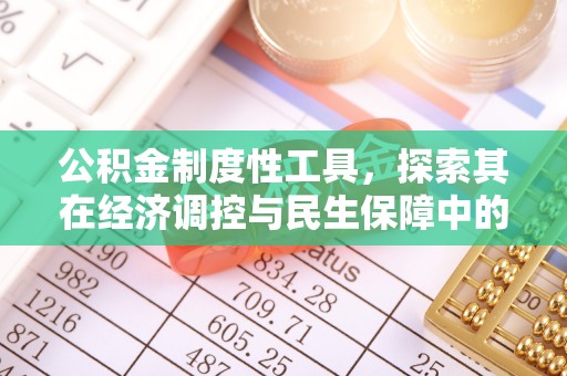 邵阳县公积金制度性工具，探索其在经济调控与民生保障中的重要作用