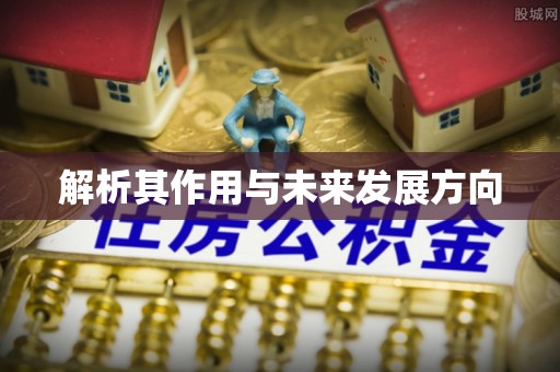 邵阳县解析其作用与未来发展方向