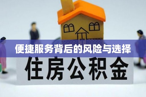 邵阳县便捷服务背后的风险与选择