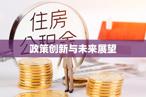 邵阳县政策创新与未来展望