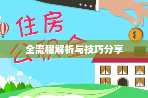 邵阳县全流程解析与技巧分享