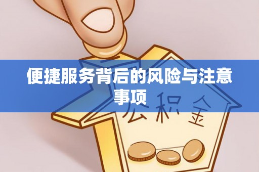 邵阳县便捷服务背后的风险与注意事项